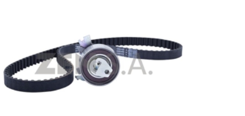 Kit Correia Dentada