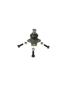 Pivo Susp Diant D/e